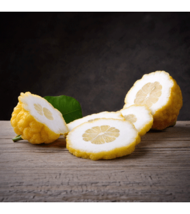 Citron Plus Natural flavour